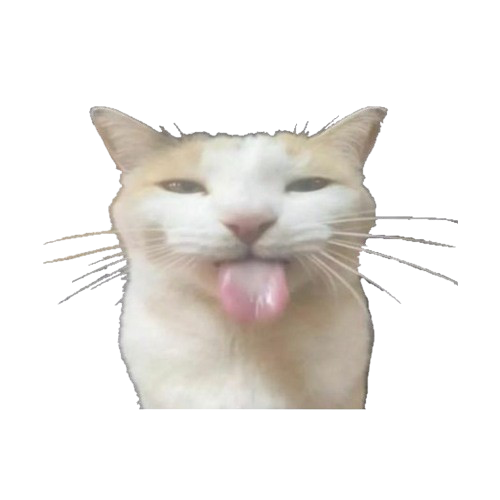cat jumpscare